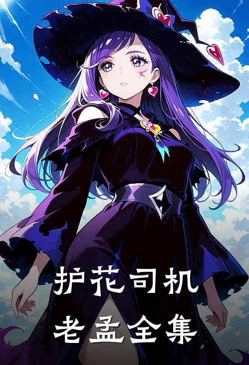 护花司机老孟全集