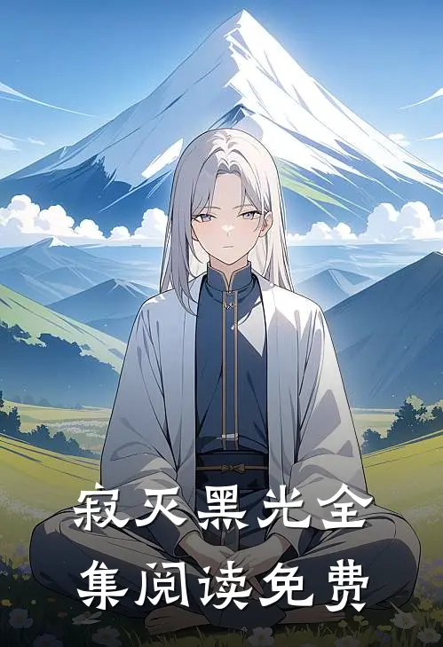 寂灭黑光全集阅读免费