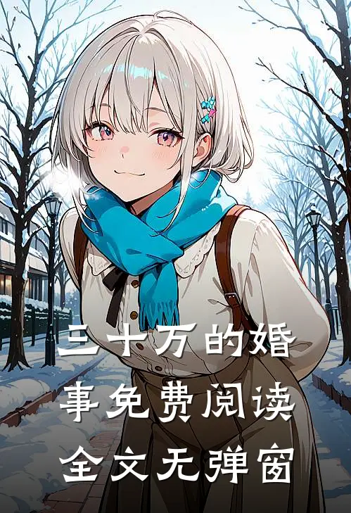 三十万的婚事免费阅读全文无弹窗