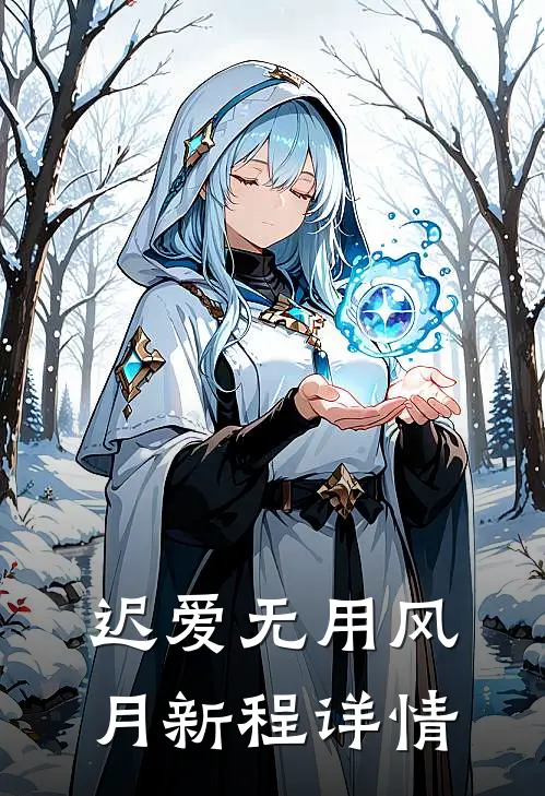 迟爱无用风月新程详情