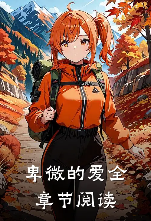 卑微的爱全章节阅读