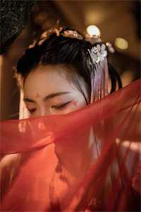 大乾第一家丁，开局拿下二夫人柳若烟林凡小说结局