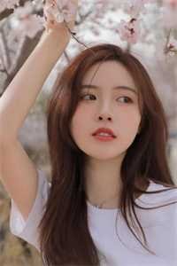 爱妃不擅争斗，朕只好专宠全章节