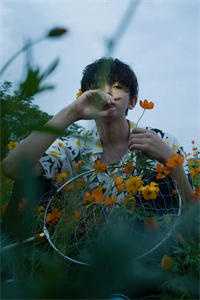 爱妃不擅争斗，朕只好专宠畅销巨著