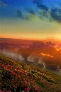 青丝晚成雪，从此芳华落精品推荐