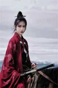 爱妃不擅争斗，朕只好专宠小说全文免费