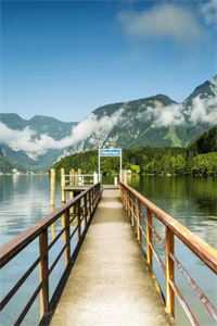 修为越高，自由越少，这合理吗？小说免费阅读全文