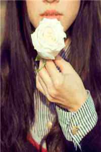 全族疯找三万年，崽在人间当皇帝人气小说