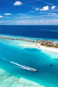 医道通天，从一方小吏开始前文+